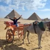 An Egypt Tour Reviewer taking a picture inside one of the Egyptian landmarks