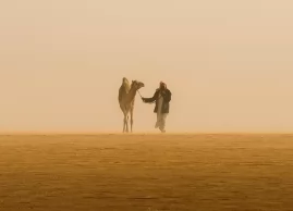 Egypt and Saudi Arabia Tour: Discover Two Ancient Kingdoms in One Journey 9