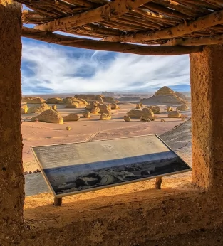 THE VALLEY OF THE WHALES 1