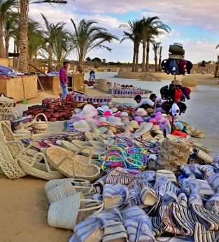 Fayoum Oasis Tour - Paradise in the Desert 1