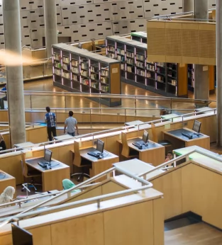 THE BIBLIOTHECA ALEXANDRINA