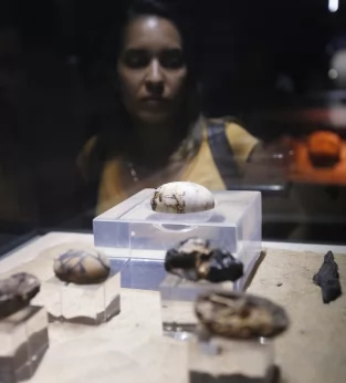 The Crocodile Museum in Kom Ombo 1