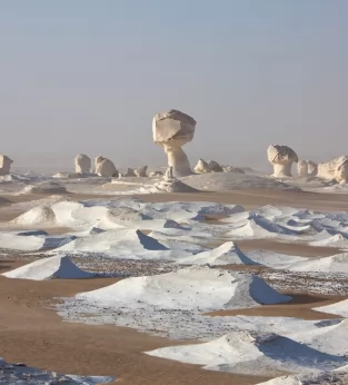 Visit the White Desert of Egypt 1
