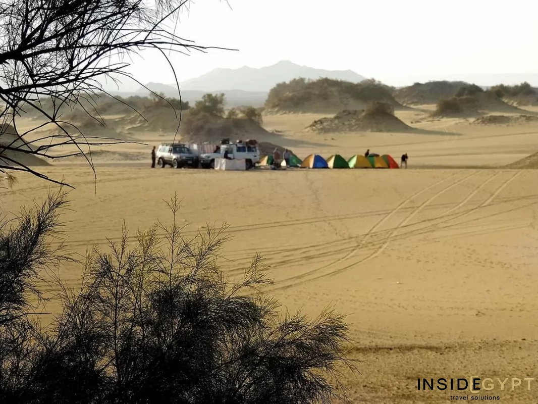  VISIT EGYPT’S FARAFRA OASIS 8