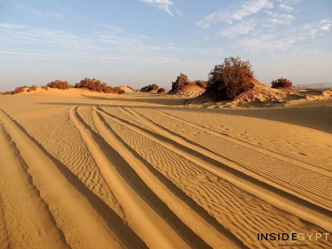  VISIT EGYPT’S FARAFRA OASIS 3