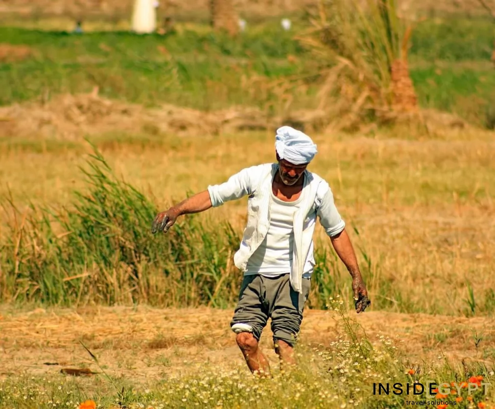 Fayoum Oasis Tour - Paradise in the Desert 1