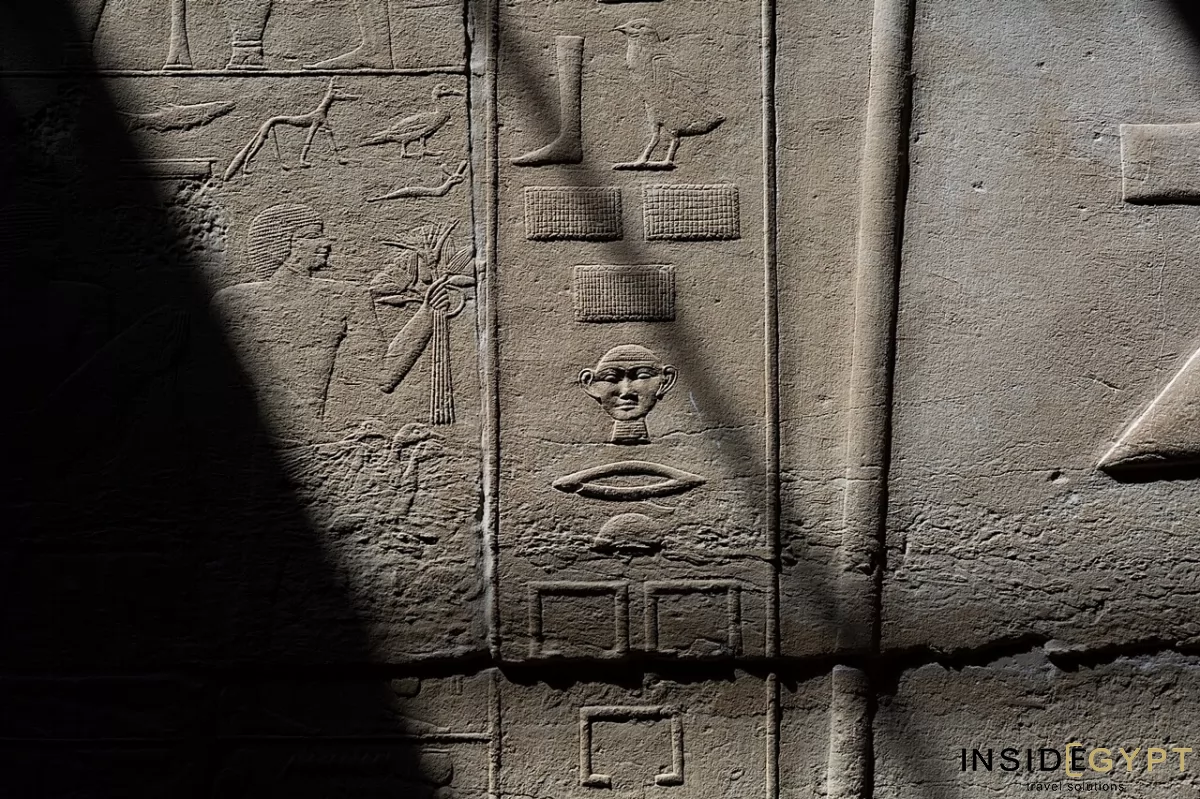 Mysterious-looking Egyptian hieroglyphics 