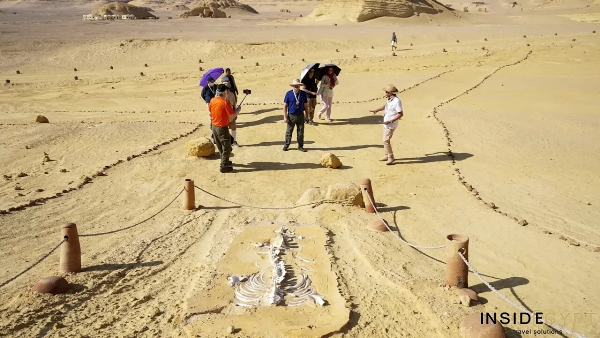 THE VALLEY OF THE WHALES 17