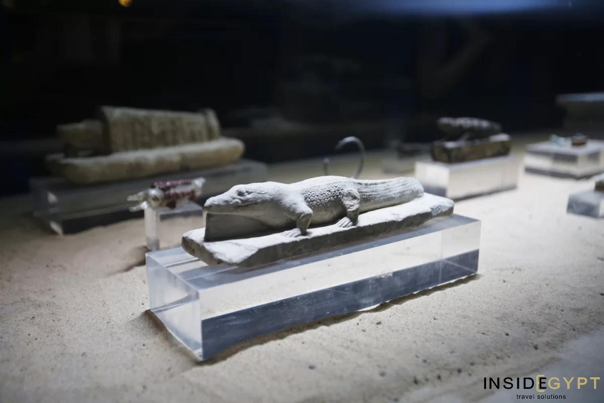 The Crocodile Museum in Kom Ombo 4