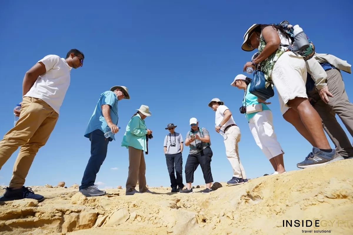 A group of tourists visit Wadi Al-Hitan or Whale Valley in the desert of Fayoum 