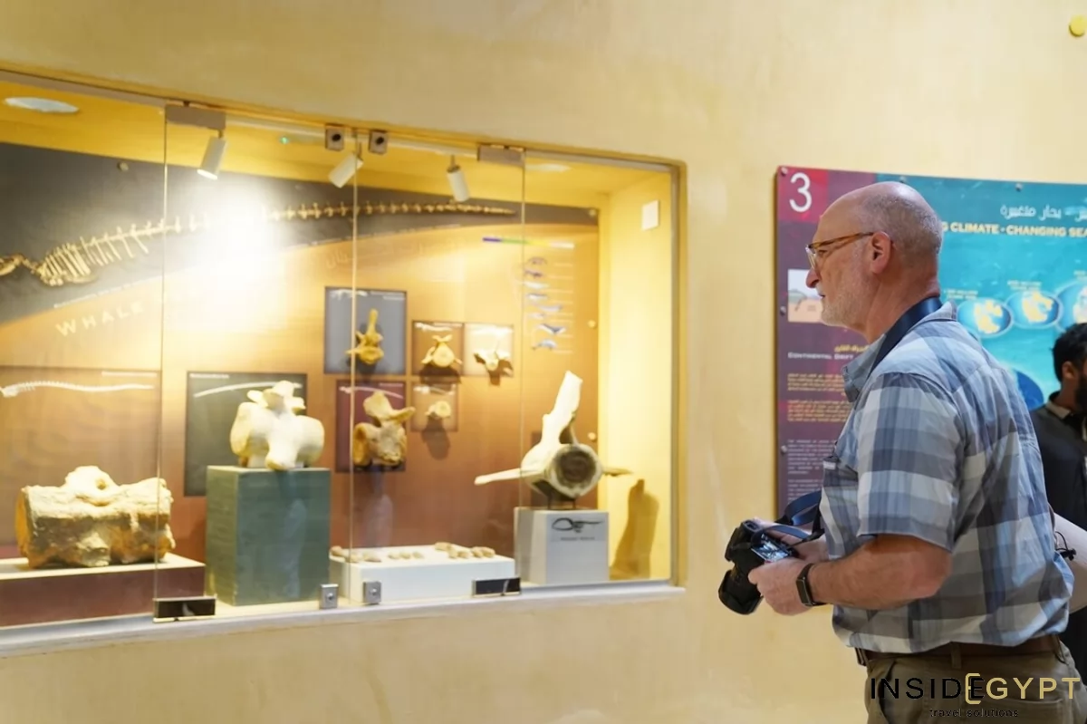 The Fossil and Climate Change Museum 9