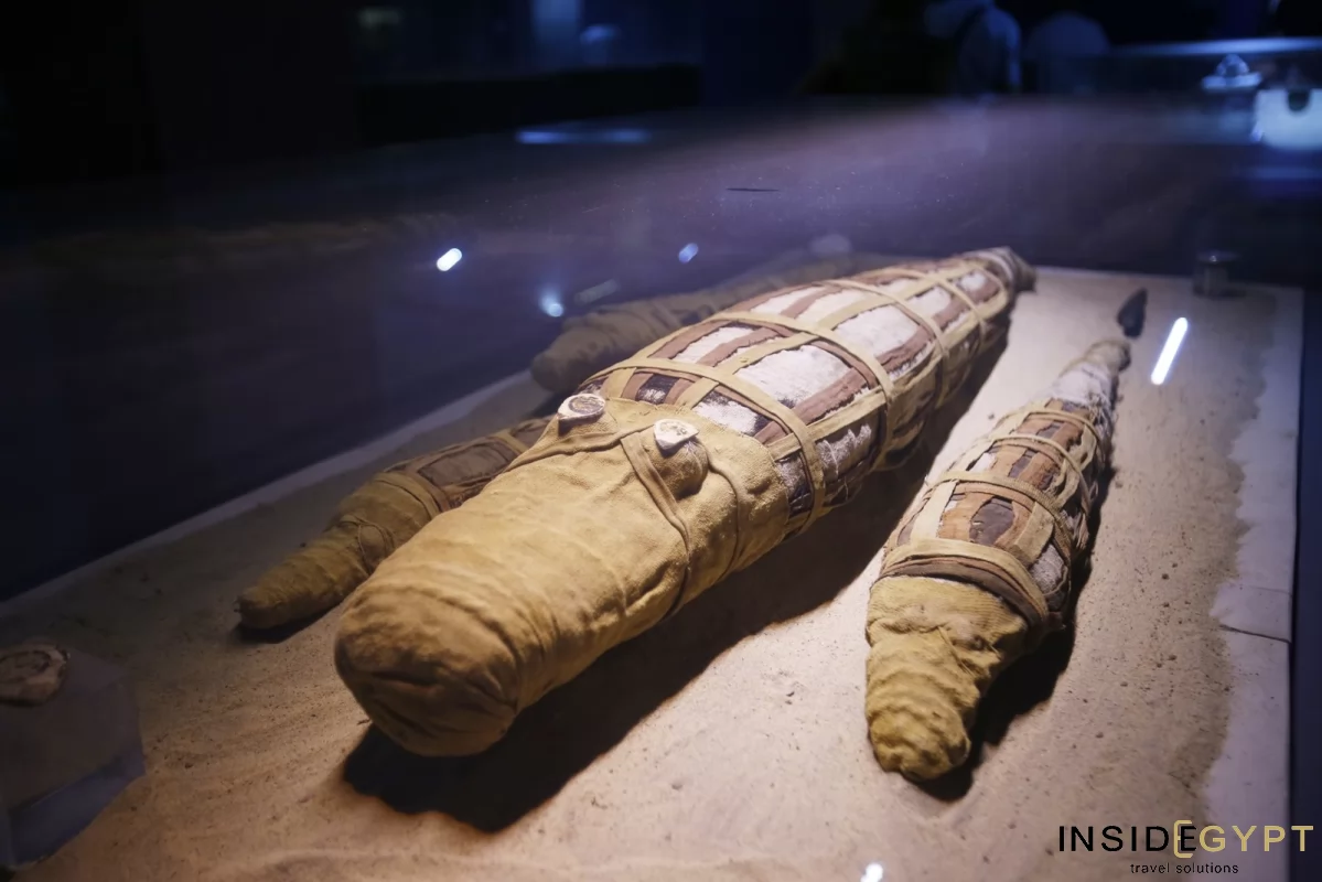 The Crocodile Museum in Kom Ombo 1