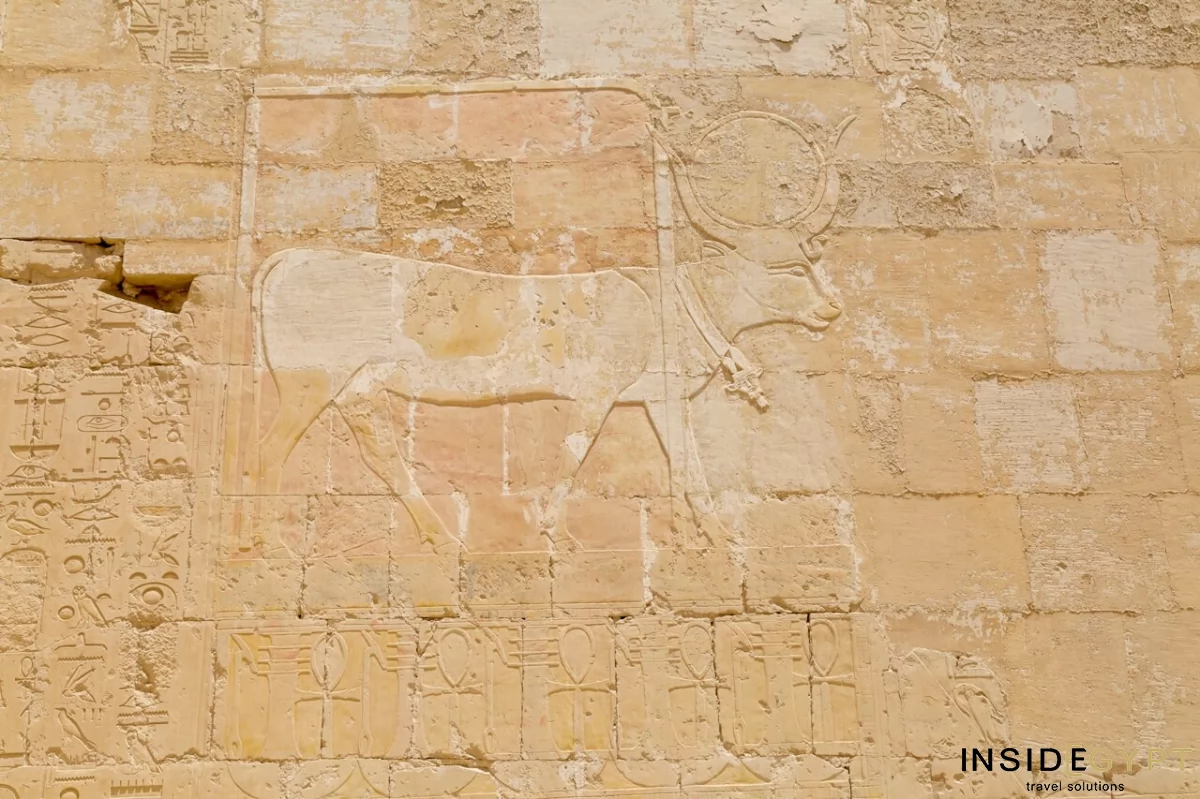  Inside the Temple of Hatshepsut 7