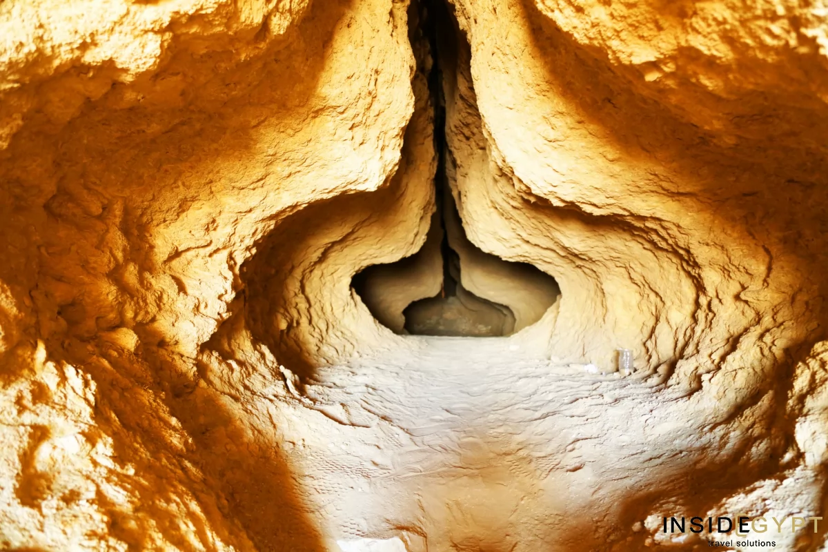 THE VALLEY OF THE WHALES 2