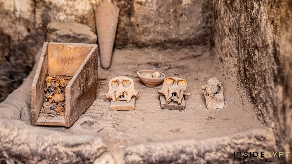  TUNA EL-GEBEL IN MIDDLE EGYPT 5