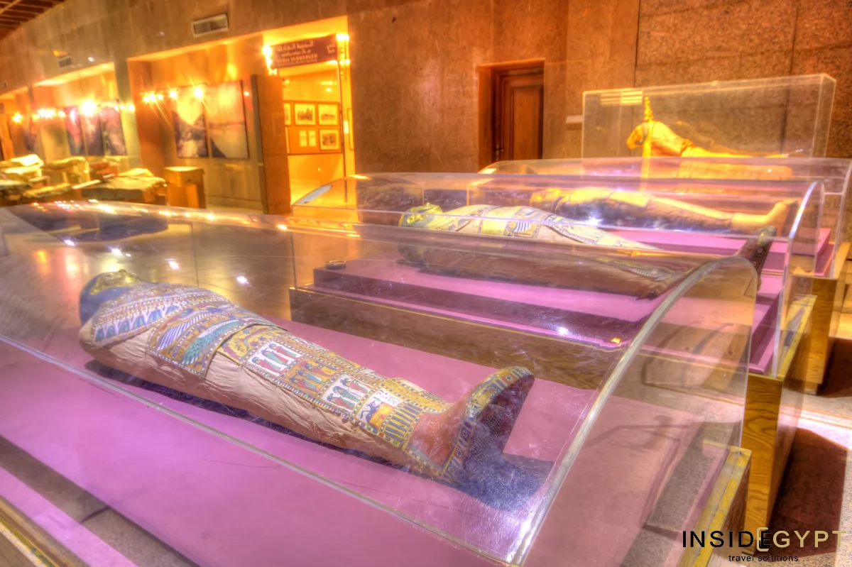 The Nubian Museum in Aswan 1