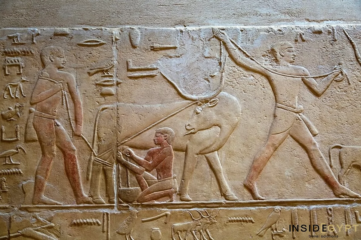 Painted Egyptian bas relief inside the Tomb of Kagemni 