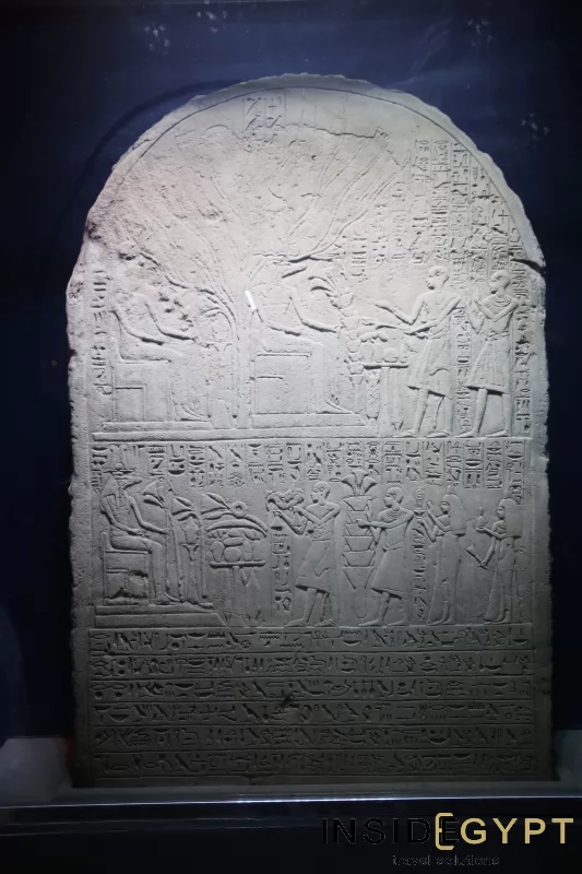 The Crocodile Museum in Kom Ombo 6