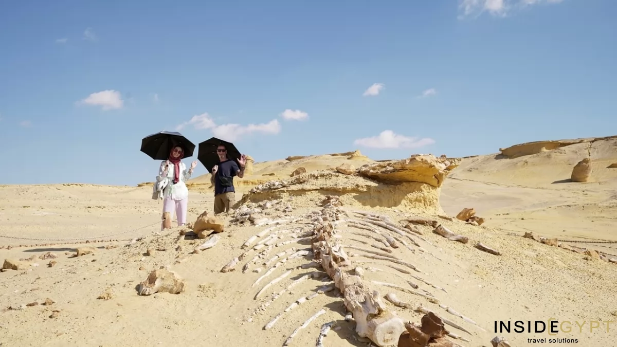 THE VALLEY OF THE WHALES 18