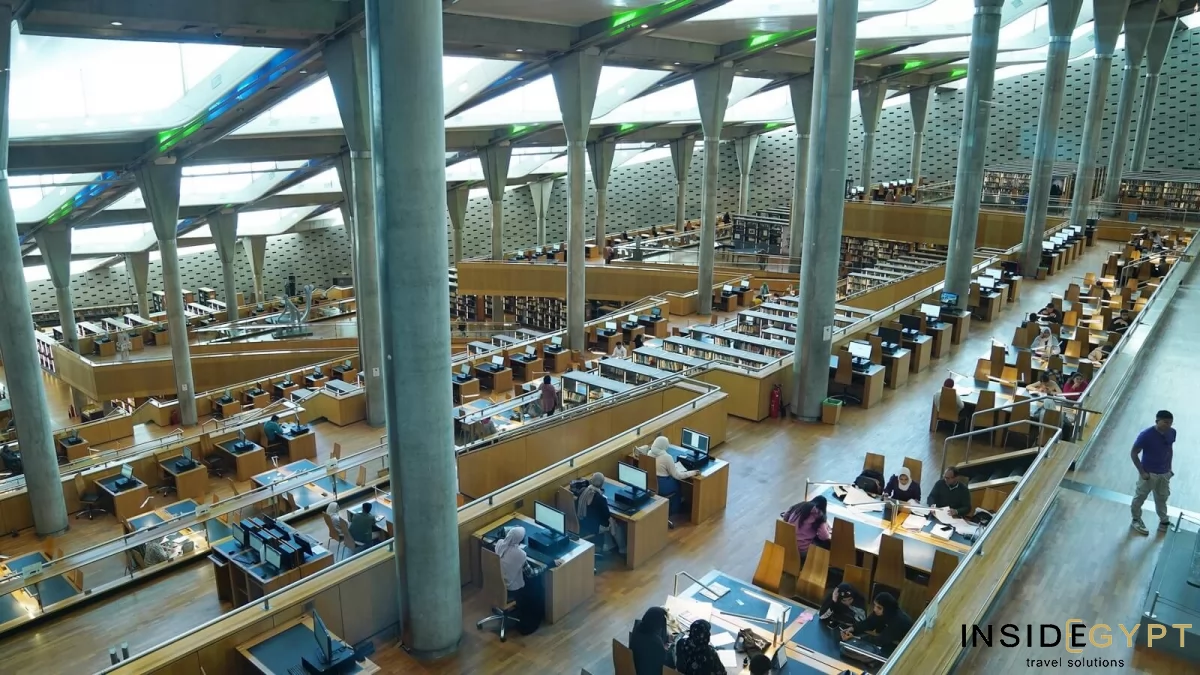 The New Library of Alexandria 6