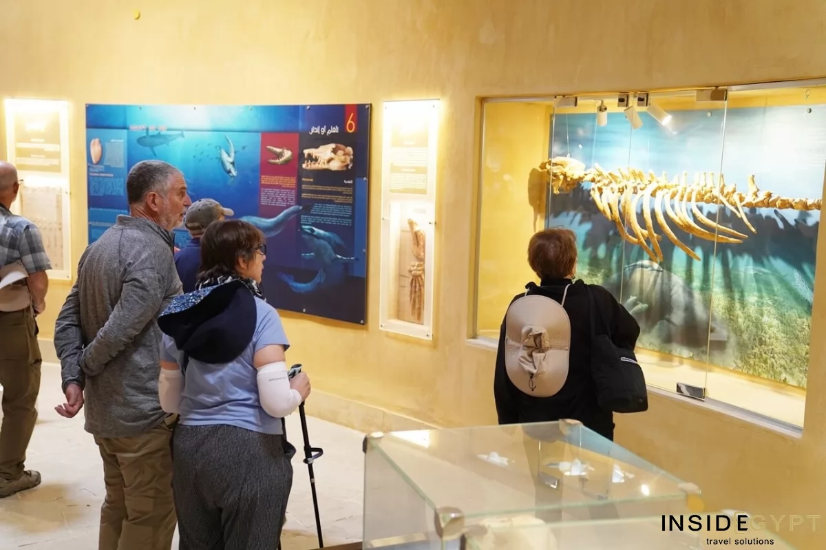 The Fossil and Climate Change Museum 12