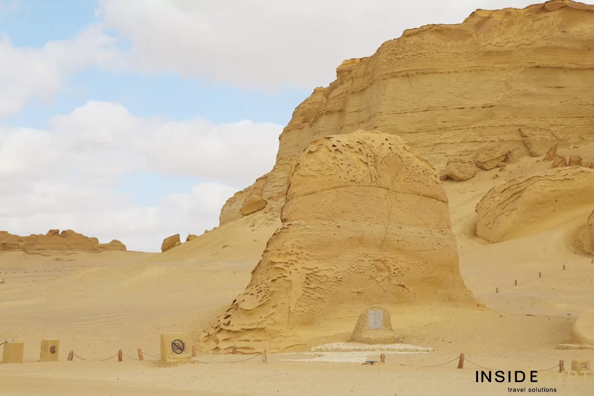 THE VALLEY OF THE WHALES 8