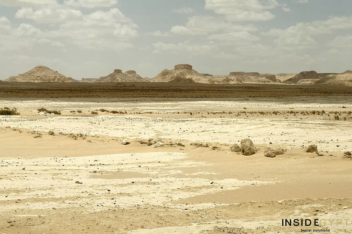  VISIT EGYPT’S FARAFRA OASIS 6