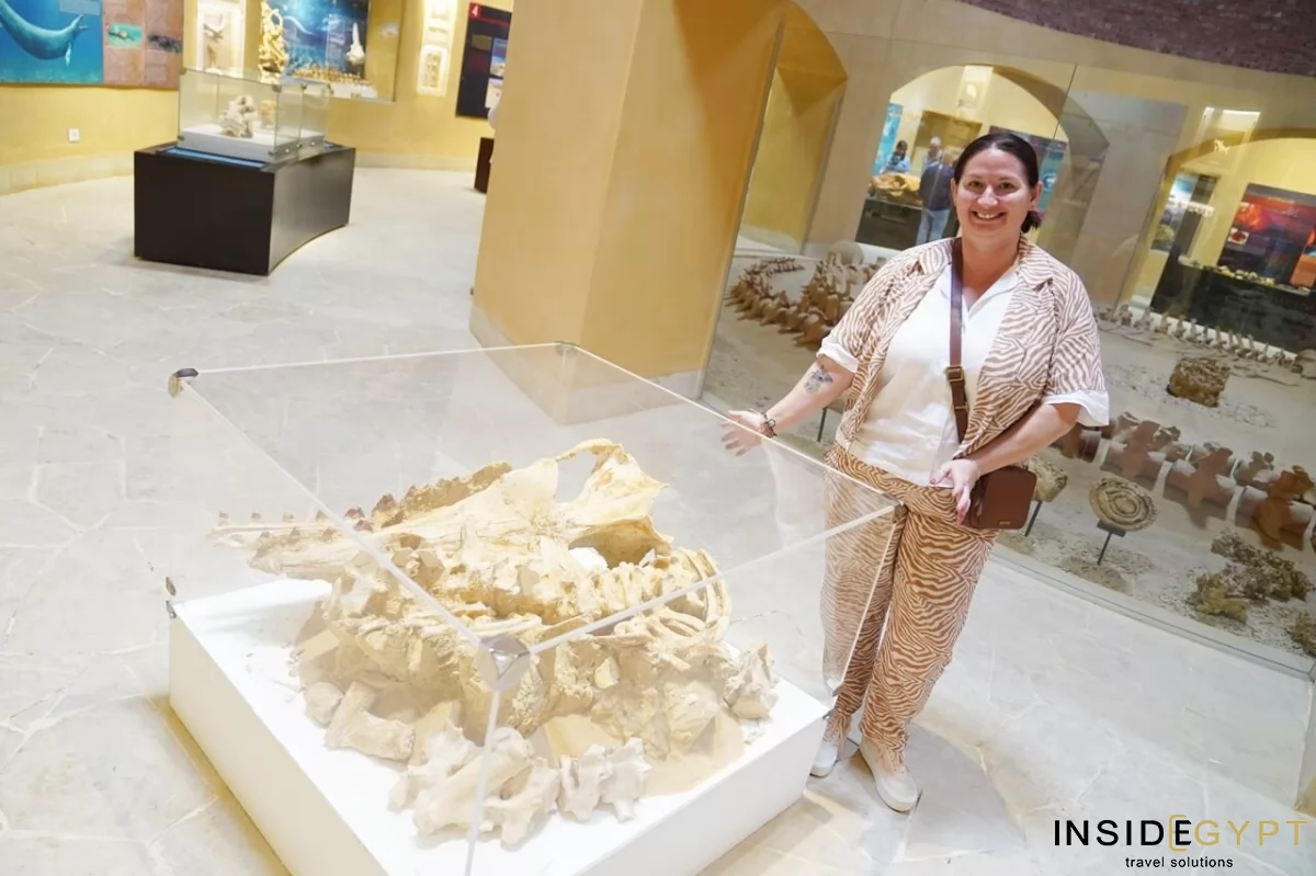 The Fossil and Climate Change Museum 10