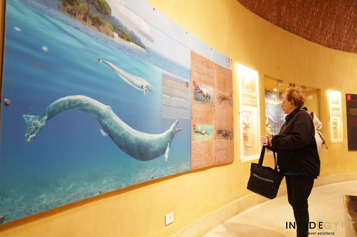 The Fossil and Climate Change Museum 11