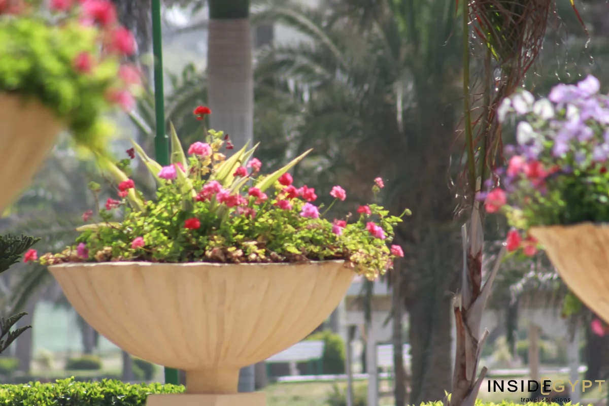  VISIT THE AL MONTAZA PALACE IN ALEXADRIA 5