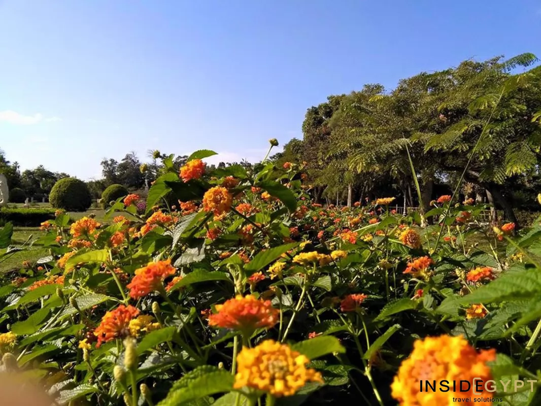 Cairo Marriott Hotel & Omar Khayyam Casino 10