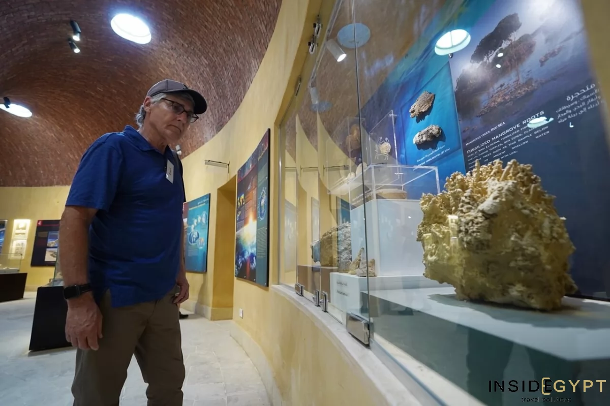 THE VALLEY OF THE WHALES 10