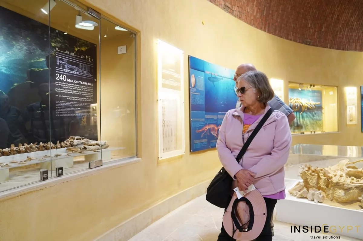 The Fossil and Climate Change Museum 13