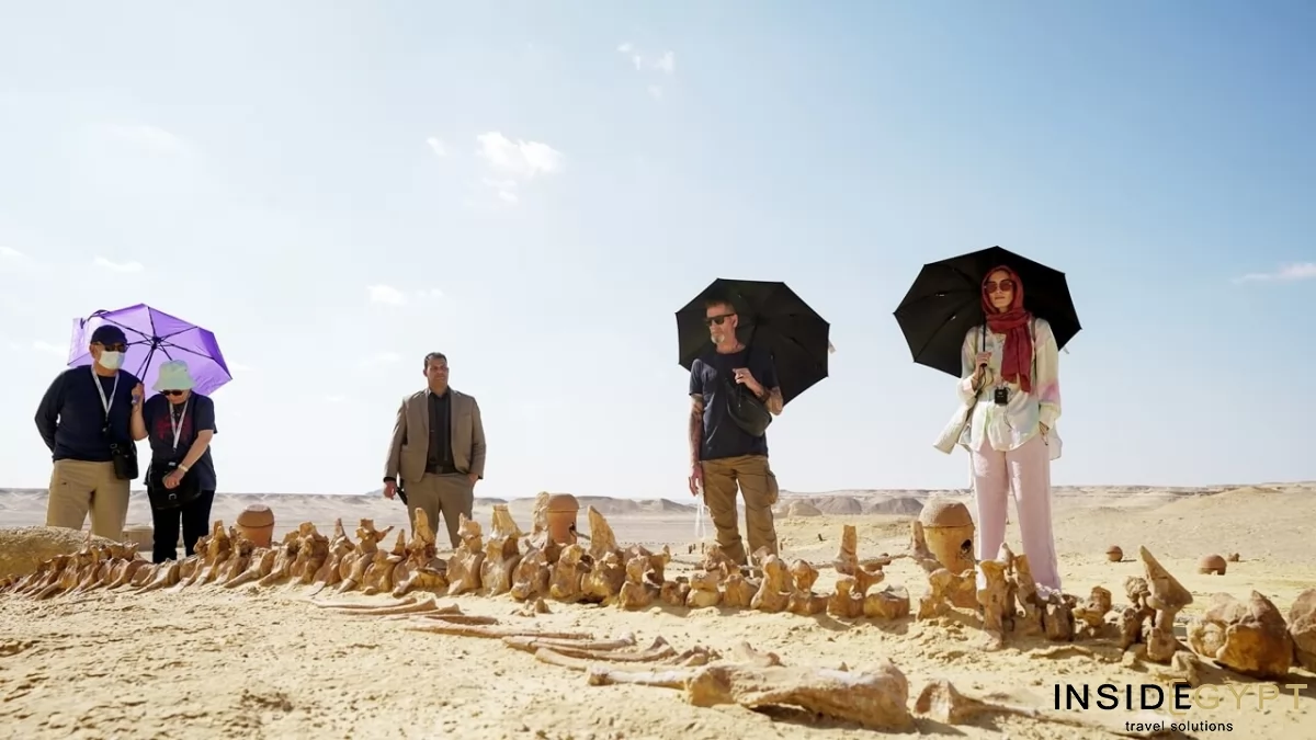 THE VALLEY OF THE WHALES 16