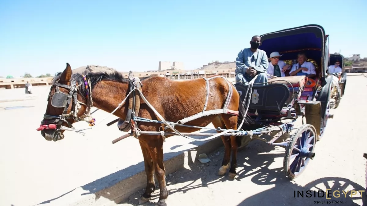 TOURIST TRANSPORTATION IN EGYPT 5